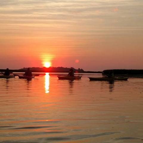A group of kayakers paddling during sunset in Myrtle Beach, SC