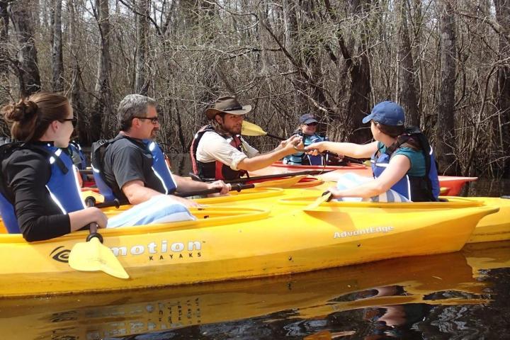 A group of kayakers paddling the cypress swamp in Myrtle Beach, SC