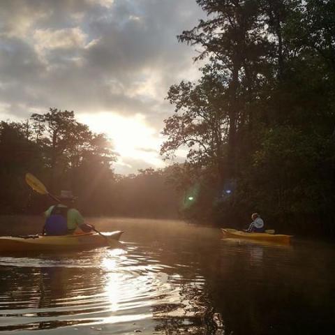 Kayaker Paddling through the swamps of Myrtle Beach, SC during sunset
