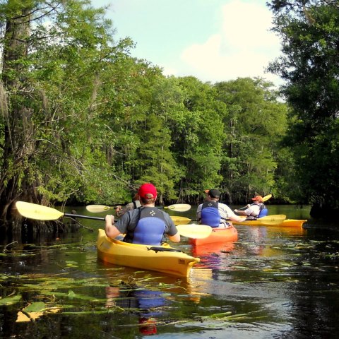 A group of kayakers paddling on the Black River in Myrtle Beach, SC