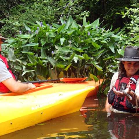 Group of kayakers holding snakes in Myrtle Beach, SC