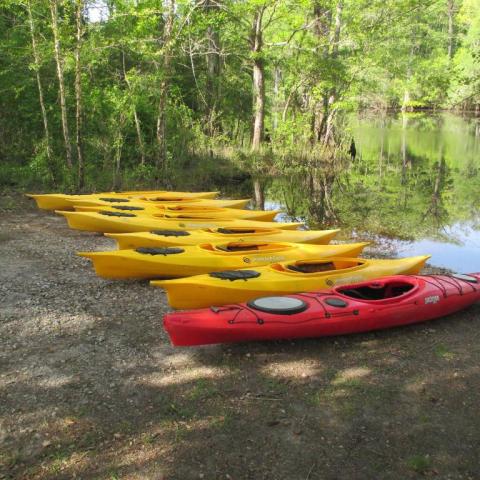 Several kayaks parked on shore of Black River in Myrtle Beach, SC