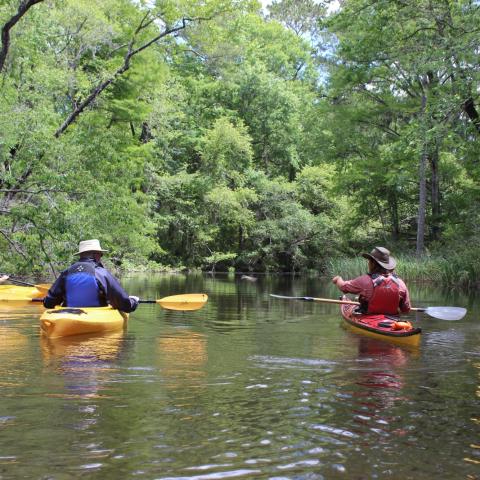 Group of kayakers paddling the Black River in Myrtle Beach, SC
