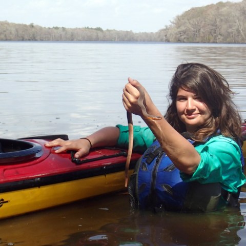 Kayak guide holding snake while wading in the waters in Myrtle Beach, SC