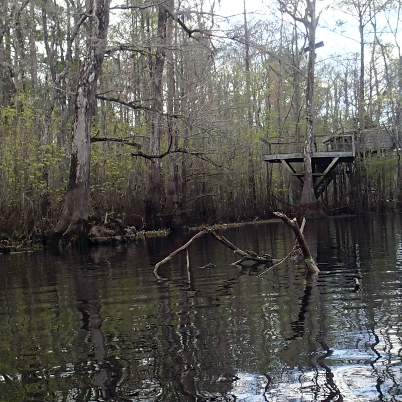 Black River in Myrtle Beach, SC
