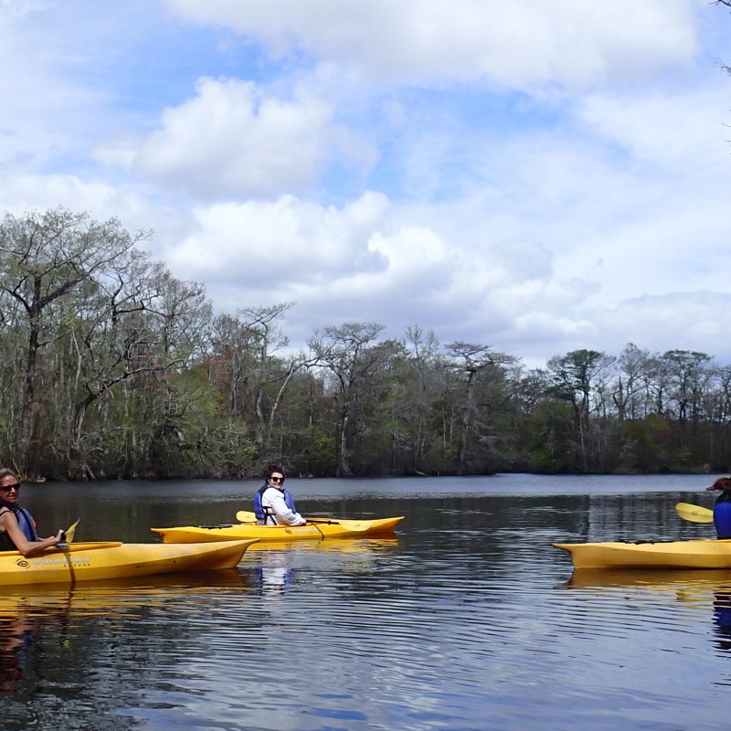 Group of kayakers paddling in Myrtle Beach, SC
