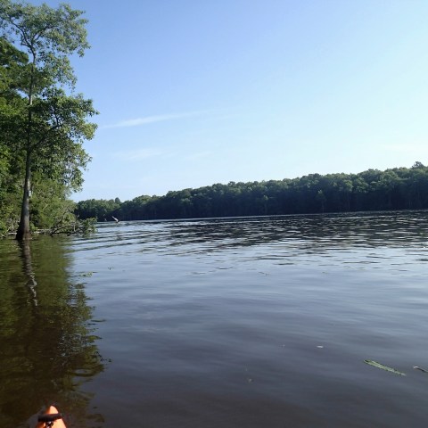 Waccamaw River