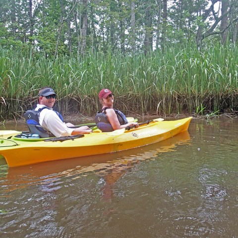 Kayaking to Sandy Island