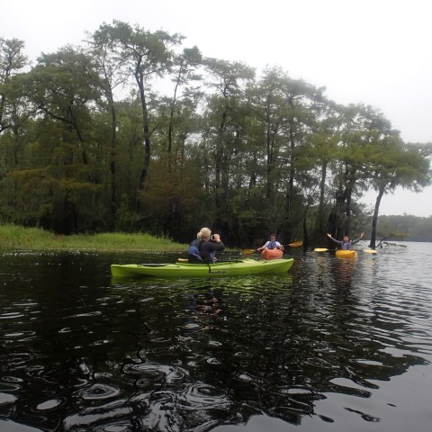 Group kayaking