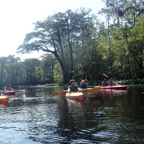 Group of kayakers
