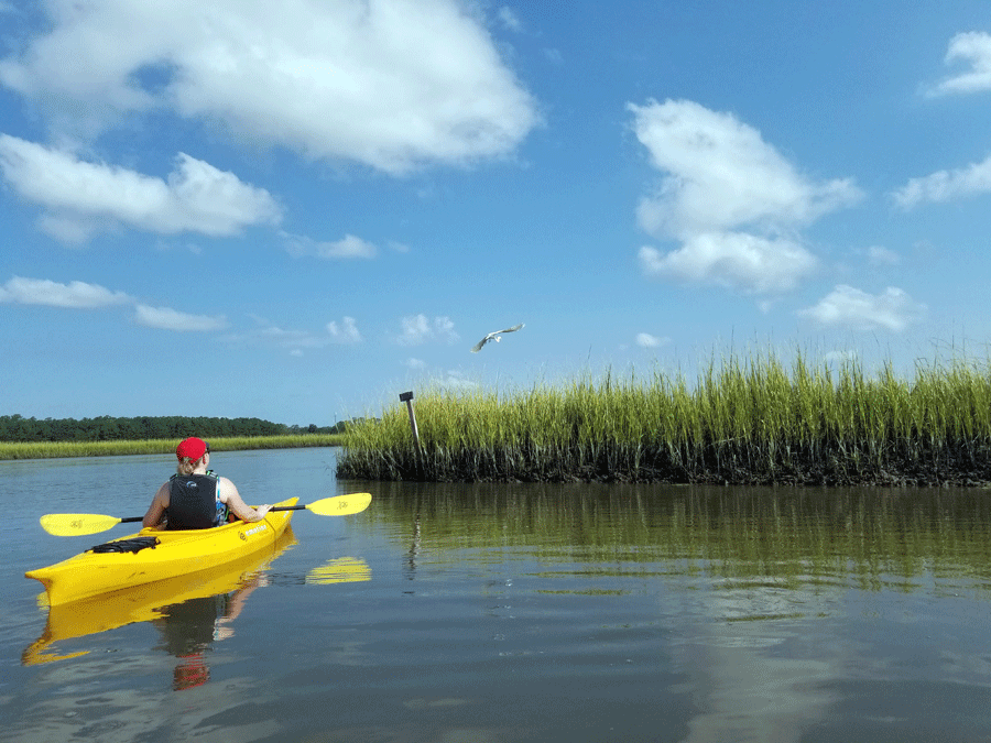 Kayaking in the Salt Marsh